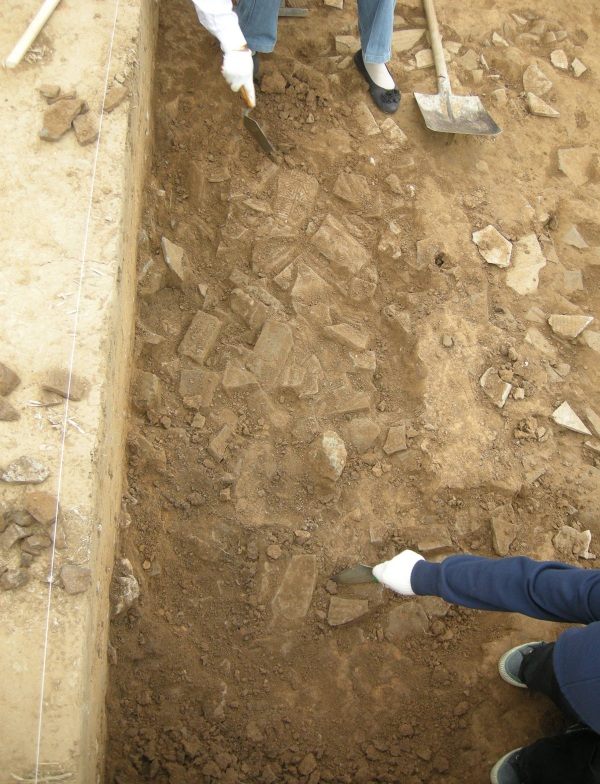 Odcinek wykopu z widocznym stropem warstwy archeologicznej, pełnym ceramiki, dachówek oraz terakotowych płytek